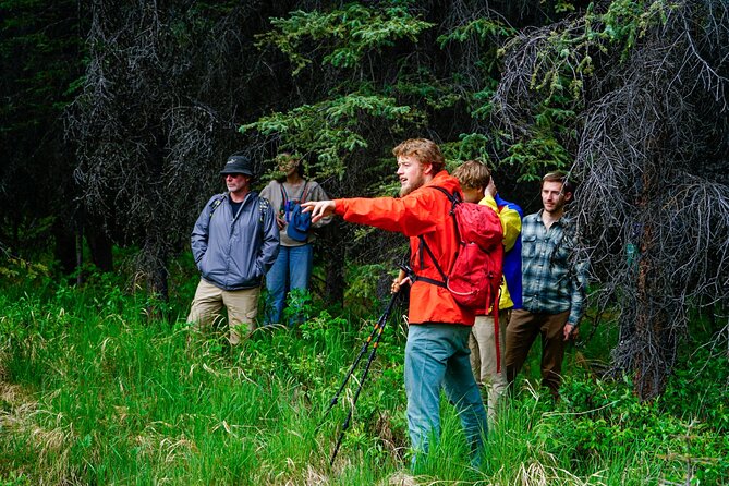 Denali Park Nature Walk (3 Hours) w/Expert Naturalist - Guides Make the Difference