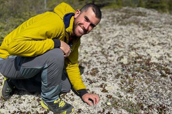 Denali Park Nature Walk (3 Hours) w/Expert Naturalist - Easy Walking, With a Few Practical Limits