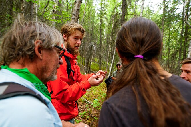 Denali Park Nature Walk (3 Hours) w/Expert Naturalist - Do Not Book This Mainly for Wildlife
