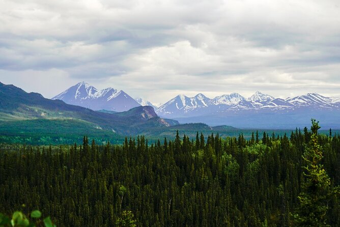 Denali Park Nature Walk (3 Hours) w/Expert Naturalist - Is $139 a Fair Price?