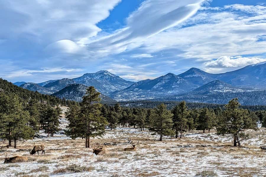 Denver/Boulder: Rocky Mountain National Park Tour - From Denver or Boulder to the high country