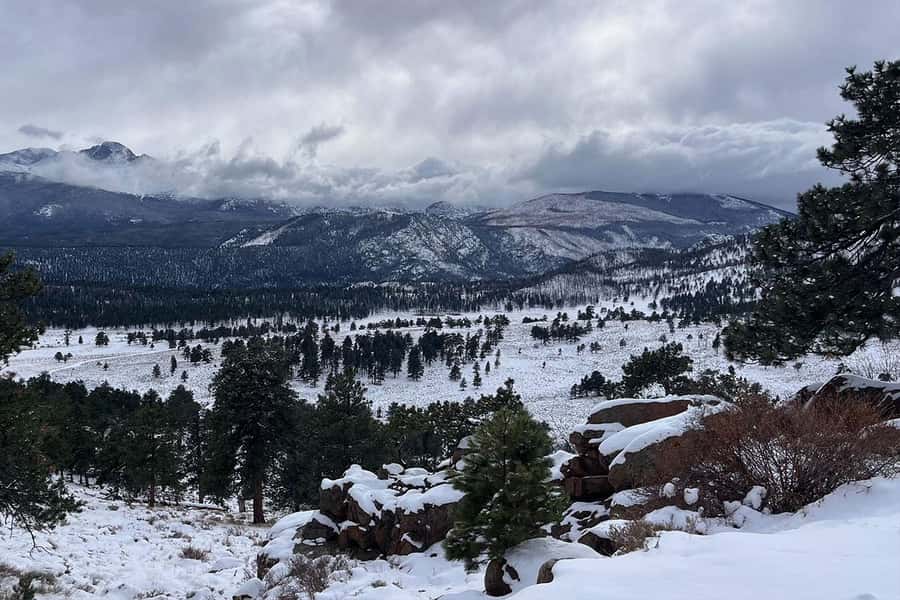 Denver/Boulder: Rocky Mountain National Park Tour - Lakes, forests, and scenic stops