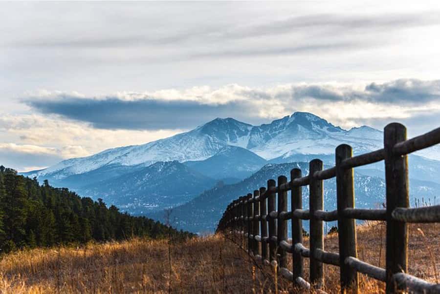 Denver/Boulder: Rocky Mountain National Park Tour - Guides who make the drive worthwhile