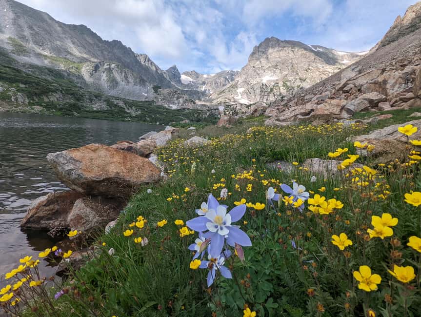 Denver: Private Rocky Mountain National Park Wildlife Tour - Key points at a glance