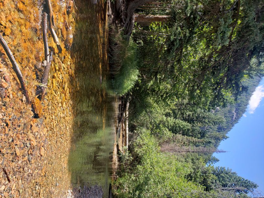 Denver: Rocky Mountain National Park Tour with Picnic Lunch - Why this Rocky Mountain day trip works