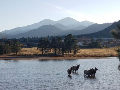 Rocky Mountain National Park Tour with Picnic Lunch