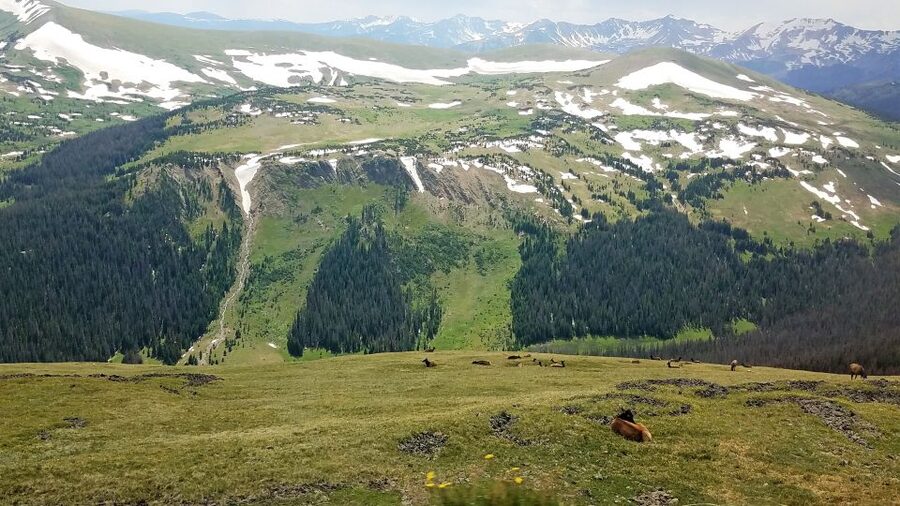 Denver: Rocky Mountain National Park Tour with Picnic Lunch - Wildlife watching without chasing animals