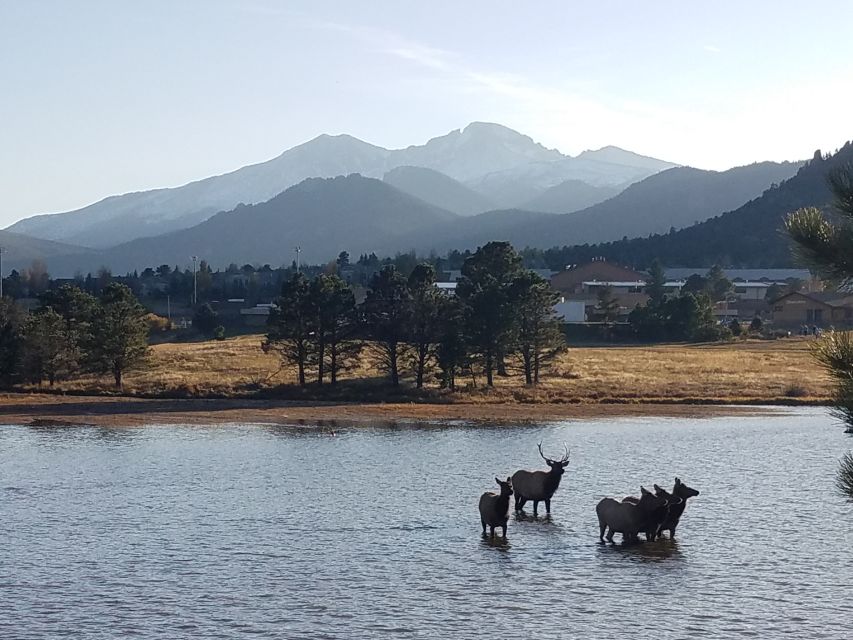 Denver: Rocky Mountain National Park Tour with Picnic Lunch - Many Parks Curve and the first big views