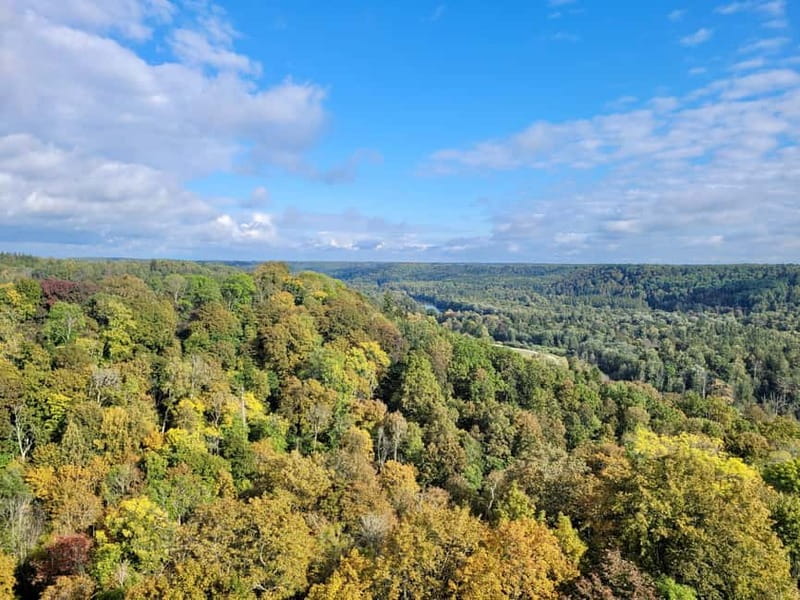Discover Best of Sigulda and Gauja National Park In One Day - Walking the forest trails around Sigulda