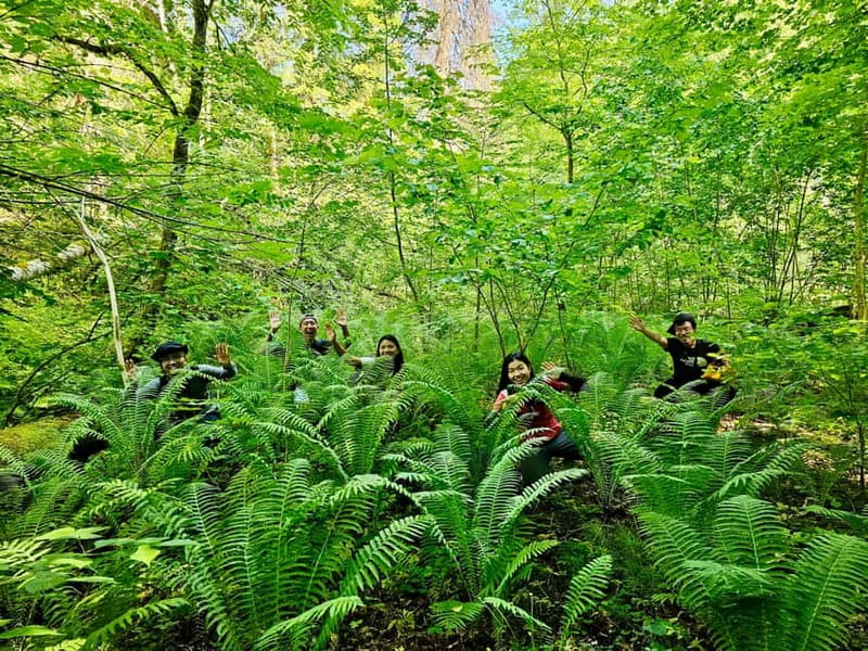Discover Best of Sigulda and Gauja National Park In One Day - Who should book this Sigulda day trip?