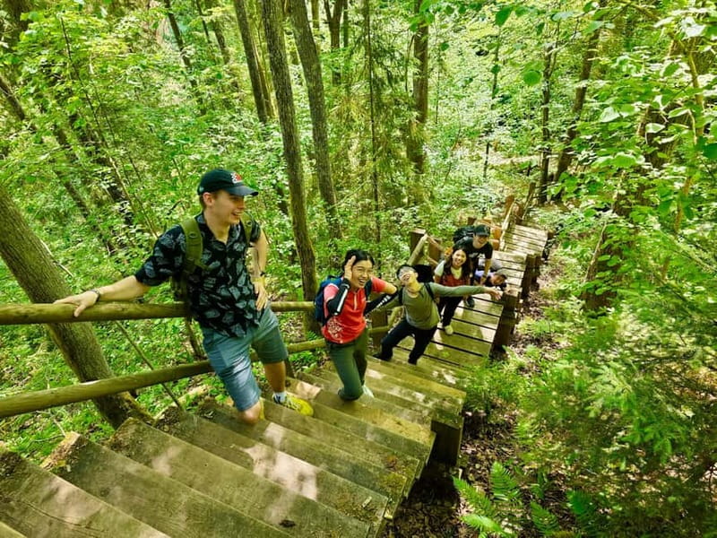 Discover Best of Sigulda and Gauja National Park In One Day - Should you book it?