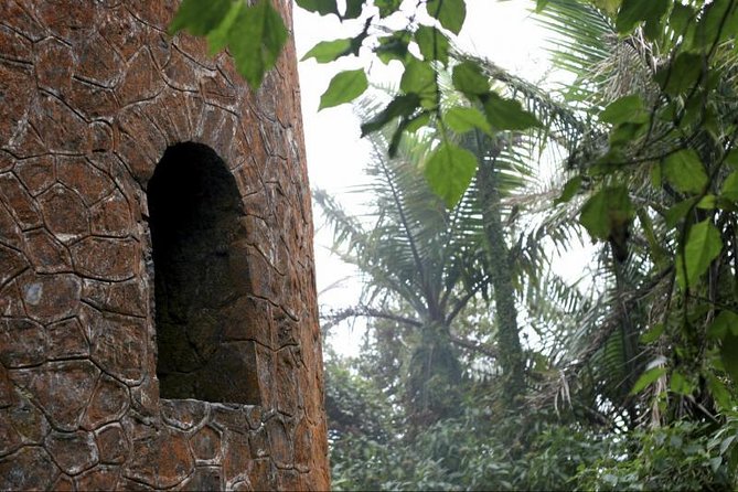 Discover El Yunque National Park: Half-Day Rainforest Tour - Why this half-day trip works from San Juan