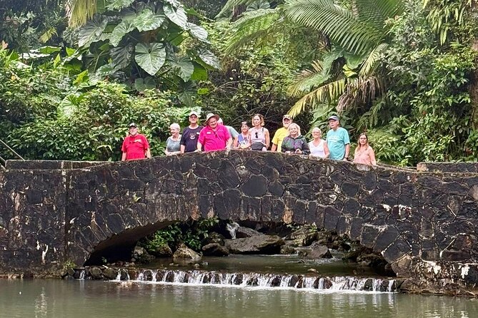 Discover El Yunque National Park: Half-Day Rainforest Tour - The walking is light, but the ride matters