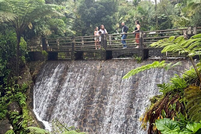Discover El Yunque National Park: Half-Day Rainforest Tour - What the $115 price includes
