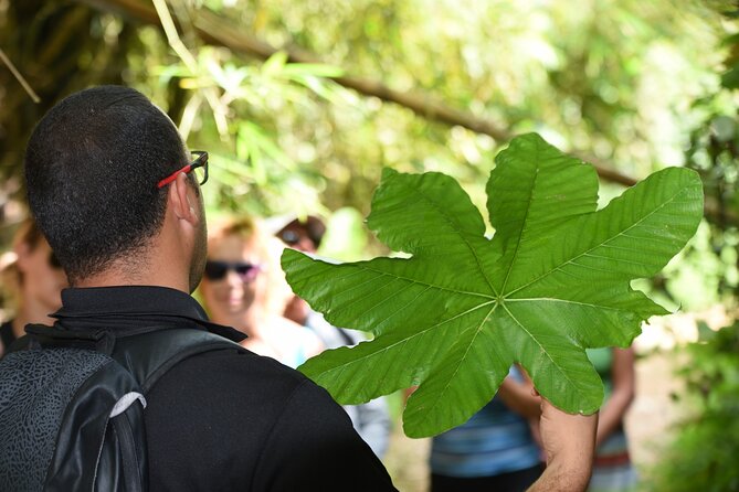 Discover El Yunque National Park: Half-Day Rainforest Tour - Who will get the most from this El Yunque visit