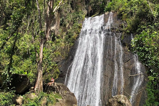 Discover El Yunque National Park: Half-Day Rainforest Tour - La Coca Falls delivers a quick payoff