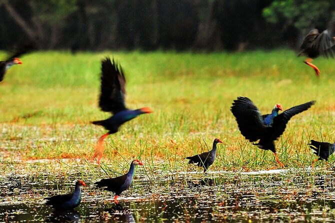 Discover Mua Xuan Nature Reserve - Pickup, timing, and group size