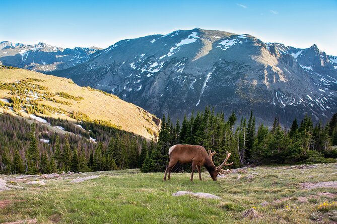 Discover Rocky Mountain National Park - What makes this day trip worth considering