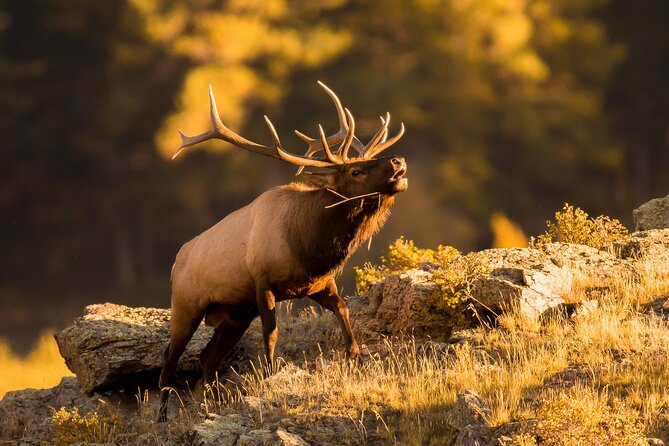 Discover Rocky Mountain National Park - Estes Park is useful, but not the main event