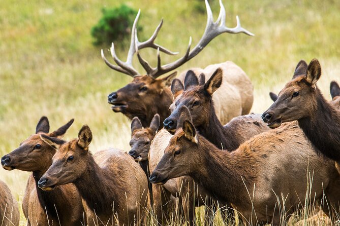 Discover Rocky Mountain National Park - Lunch, water, and the real cost