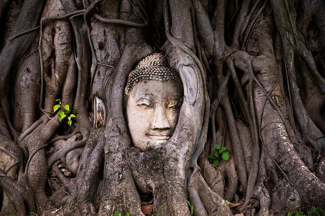 Discover UNESCO World Heritage Sites - Ayutthaya to Khao Yai National Park - Two UNESCO sites, one very long day