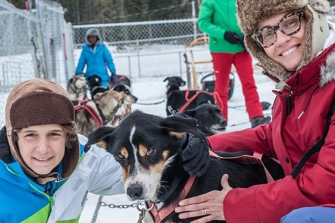 Dog Sledding - Subarctic Wilderness Tour - Key things to know before you book