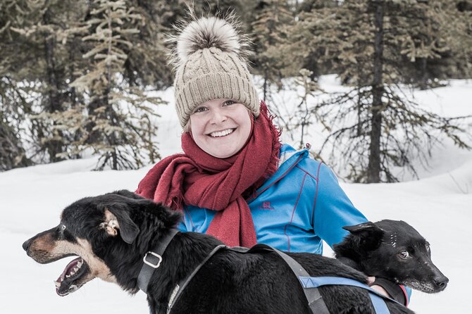 Dog Sledding - Subarctic Wilderness Tour - Helping harness the dogs before the sled ride