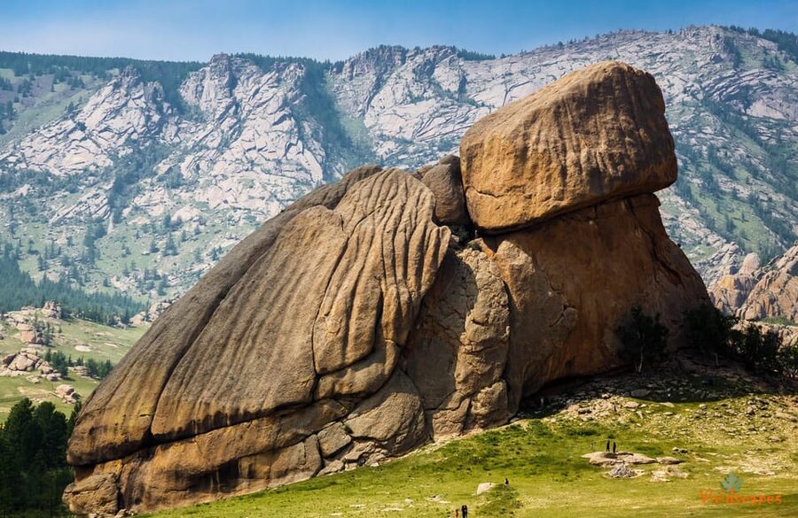Dog Sledding , Terelj National park ,Chinggis Khaan statue - Key points to know before booking