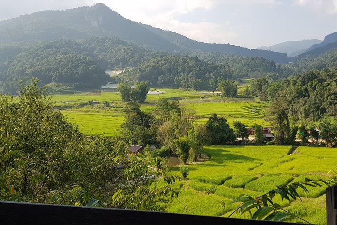 Doi inthanon National Park + 2Hour Fantastic Trekking with Lunch - Guides, group size, and the pace of the day