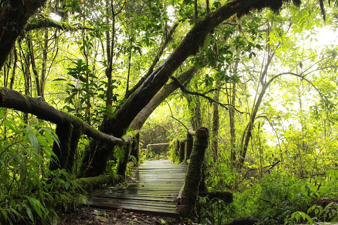 Doi Inthanon National park and 2 hours hiking with private tour - Rice terraces, coffee, and the value of a local guide