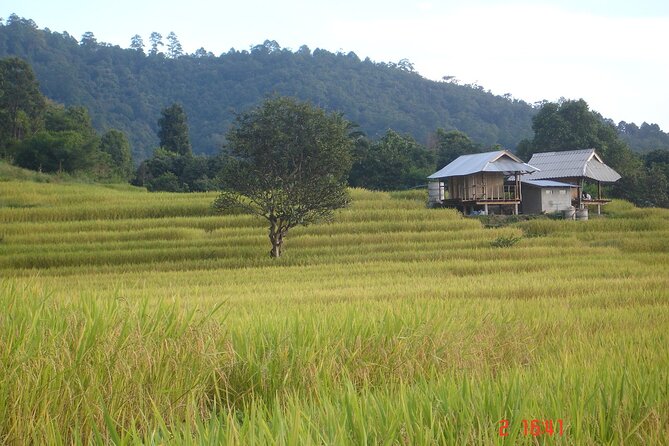 Doi Inthanon National park and 2 hours hiking with private tour - Wachiratan Waterfall and the mountain’s cooler air