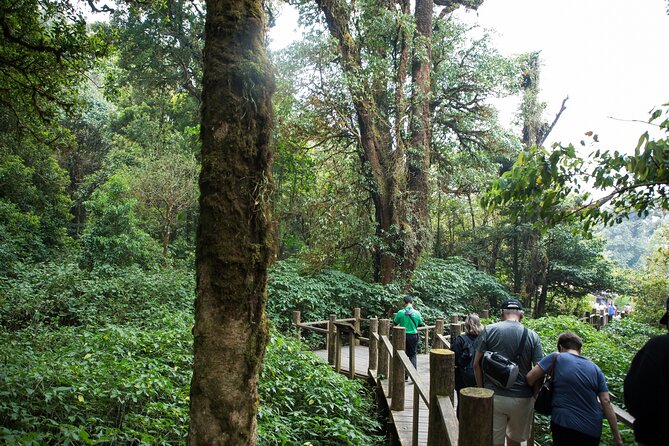 Doi Inthanon National Park Eco-Friendly Full Day Tour - A village stop, local coffee, and the cultural side of the day