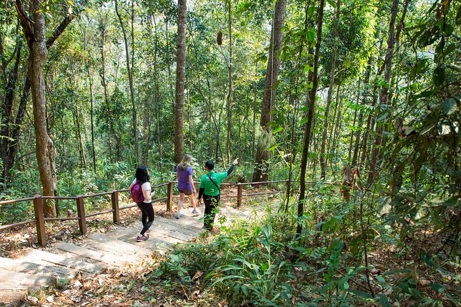 Doi Inthanon National Park Eco-Friendly Full Day Tour - How the tour guides shape the day
