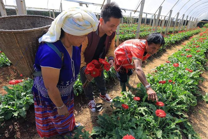Doi Inthanon National Park Full Day Tour from Chiang Mai - The Royal Agricultural Station Inthanon