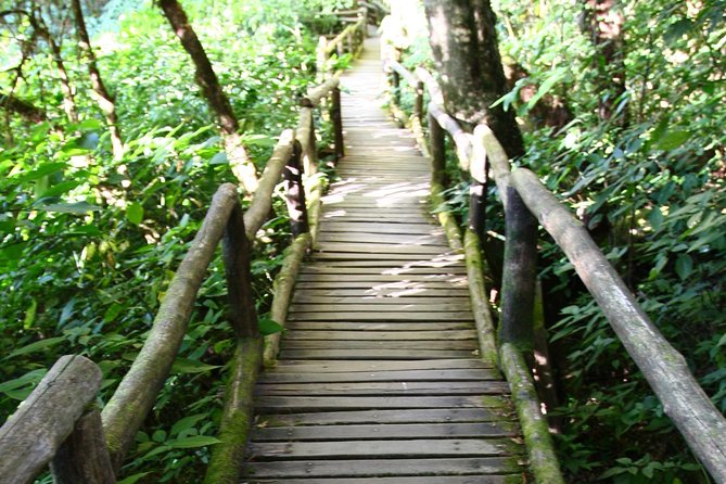 Doi Inthanon National Park including Lunch from Chiang Mai - The climb toward Thailand’s highest mountain