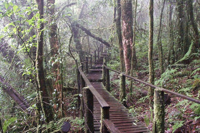 Doi Inthanon National Park - Thailand's Highest Peak - Wat Phra That Si Chom Thong sets the cultural tone