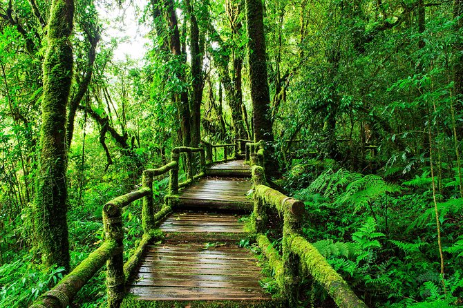 Doi Inthanon National Park - Thailand's Highest Peak - The Twin Royal Stupas offer the widest views