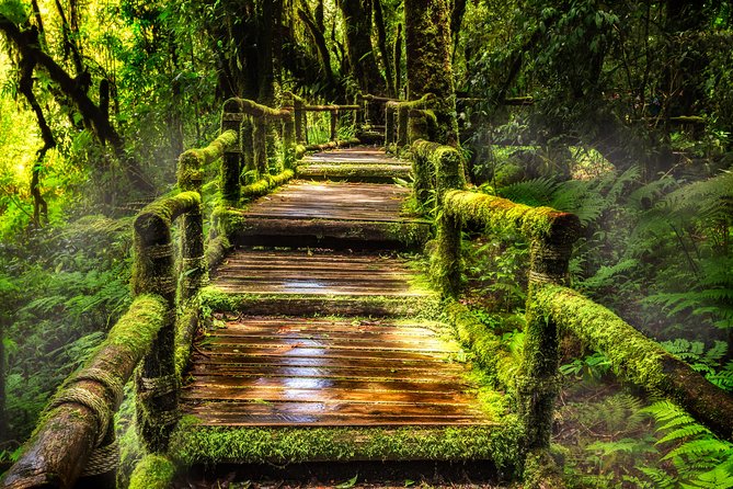 Doi Inthanon National Park - Thailand's Highest Peak - Choose Kew Mae Pan for views and a harder walk