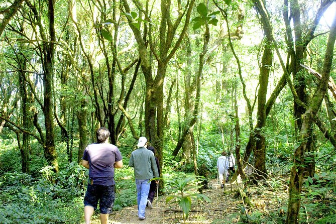 Doi Inthanon National Park, Waterfall & Royal Project Day Tour From Chiang Mai - Wachirathan Falls brings the big splash
