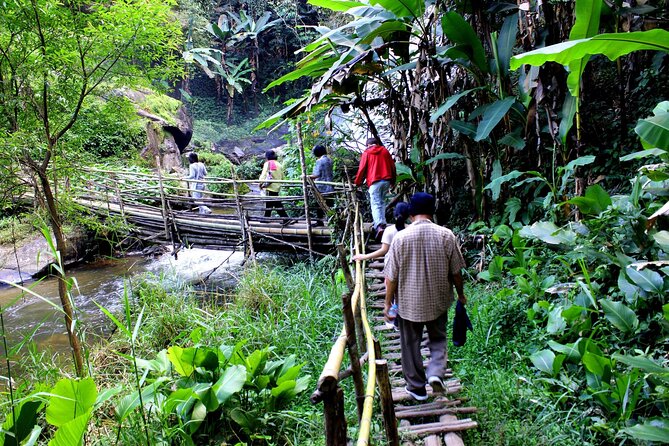 Doi Inthanon National Park, Waterfall & Royal Project Day Tour From Chiang Mai - Doi Inthanon’s summit is cool, cloudy, and easy to reach