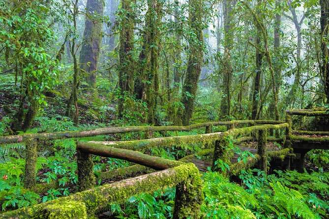 Doi Inthanon National Park, Waterfall & Royal Project Day Tour From Chiang Mai - The King and Queen Pagodas are the visual centerpiece