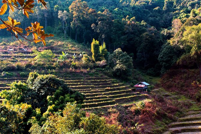 Doi Inthanon National Park, Waterfall & Royal Project Day Tour From Chiang Mai - Ban Mae Klang Luang adds coffee, textiles, and local life