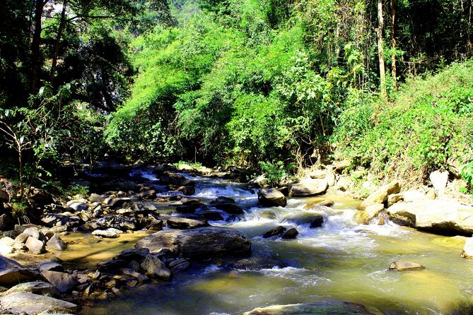 Doi Inthanon National Park, Waterfall & Royal Project Day Tour From Chiang Mai - The schedule is full, but the stops are brief