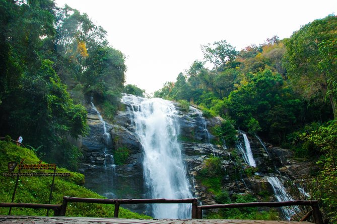 Doi Inthanon National Park with Nature Trail Trekking 1-Day Tour - The summit walk to Thailand’s highest point
