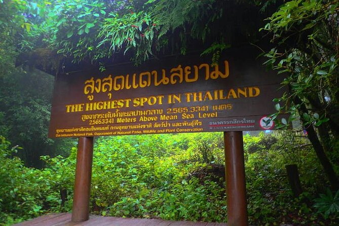 Doi Inthanon National Park with Nature Trail Trekking 1-Day Tour - What the trek is really like