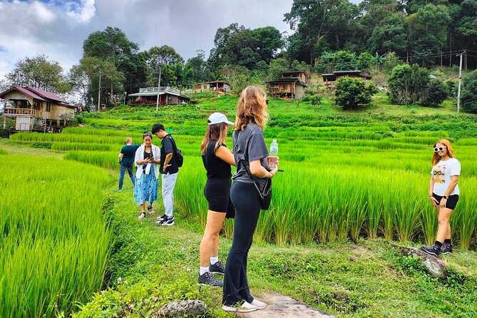 Doi Inthanon Waterfall and Royal Project Chiang Mai - Karen village and the Royal Project connection