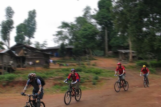Doi Suthep National Park To Chiang Mai Beginner Downhill Mountain Biking - What the views add to the ride