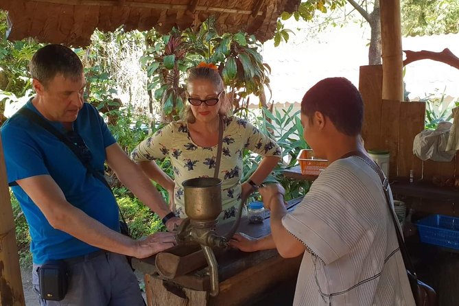 Doi Suthep Tour: Trekking at Doi Inthanon National Park with Lunch - Doi Inthanon National Park and the walking portion