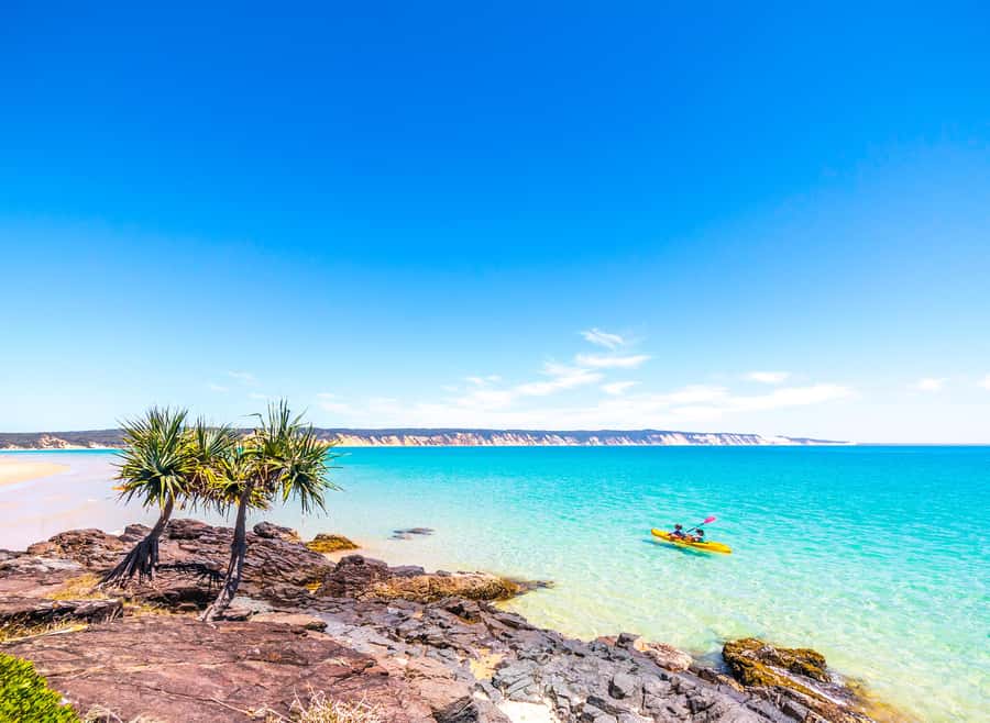 Dolphin Kayak Tour & Beach 4X4 National Park Tour (Private) - Dolphins, sea turtles, and the value of a local guide