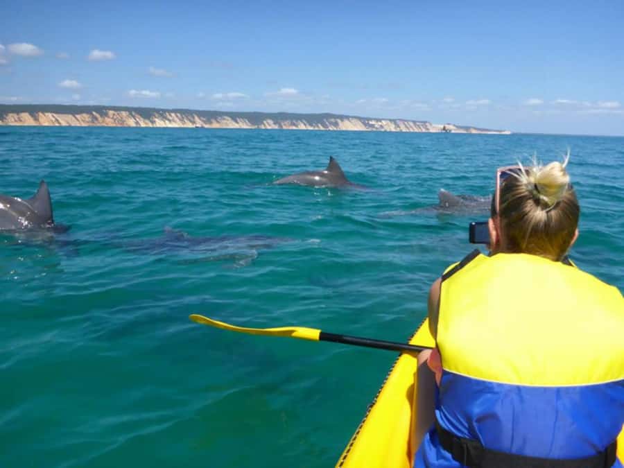 Dolphin Kayak Tour & Beach 4X4 National Park Tour (Private) - Pickup, flexibility, and practical limits